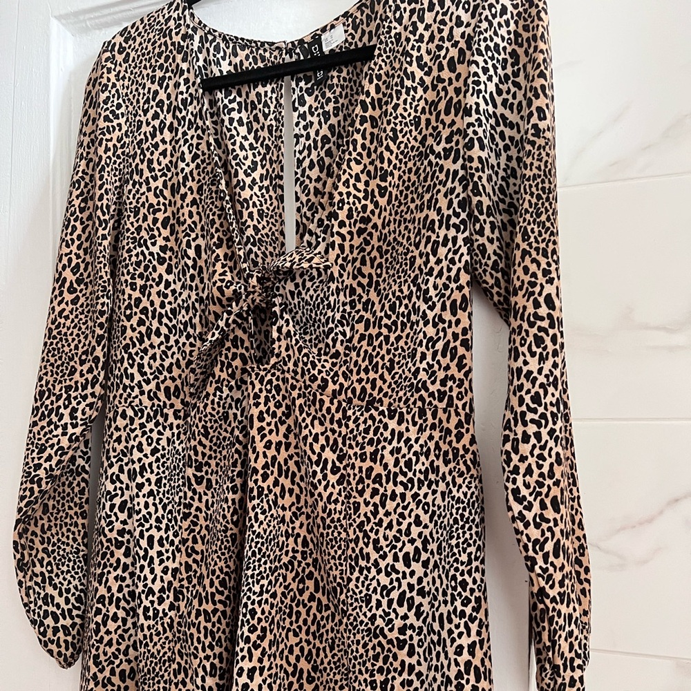 H&M Tie Front Animal Print Dress